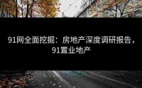 91网全面挖掘：房地产深度调研报告，91置业地产