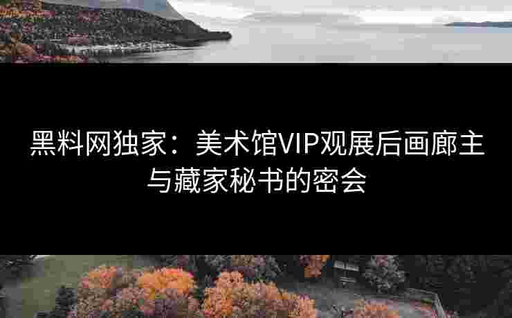 黑料网独家：美术馆VIP观展后画廊主与藏家秘书的密会
