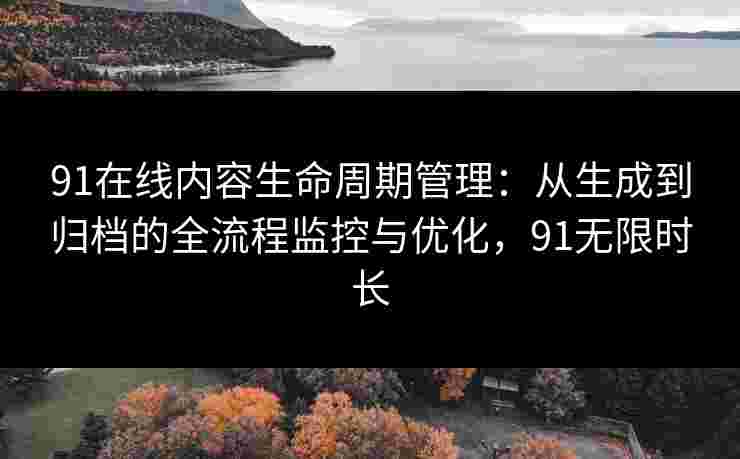 91在线内容生命周期管理：从生成到归档的全流程监控与优化，91无限时长