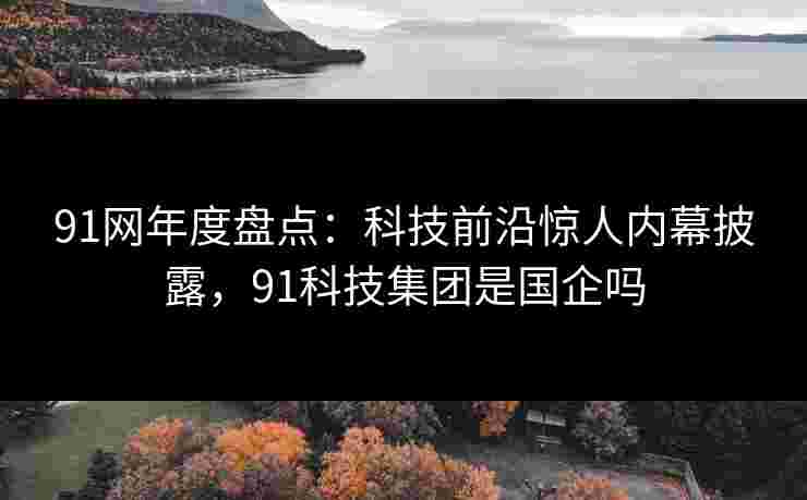 91网年度盘点:科技前沿惊人内幕披露,91科技集团是国企吗 91网年度盘点:科技前沿惊人内幕披露,91科技集团是国企吗