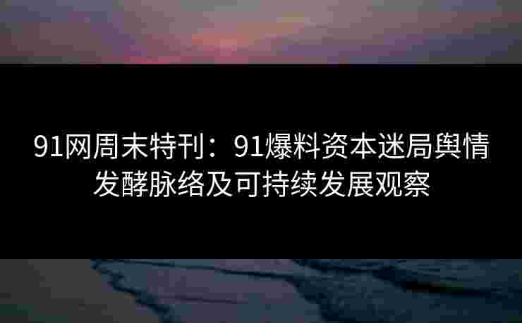 91网周末特刊：91爆料资本迷局舆情发酵脉络及可持续发展观察